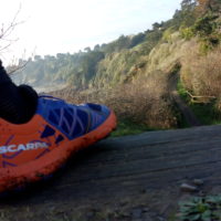 Test: Scarpa Spin