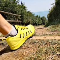 Focus sur…La FRENSH