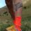 STOX, les chaussettes conçues pour l’endurance et le confort