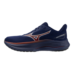 MIZUNO WAVE INSPIRE 22 H